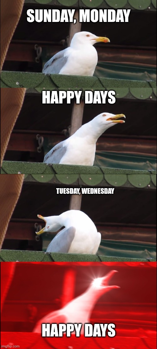 Inhaling Seagull Meme | Sunday, Monday; Happy days; Tuesday, Wednesday; Happy days | image tagged in memes,inhaling seagull | made w/ Imgflip meme maker
