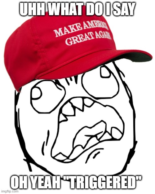 Maga is running out fast | uhh what do i say; oh yeah "triggered" | image tagged in maga angry rage face | made w/ Imgflip meme maker