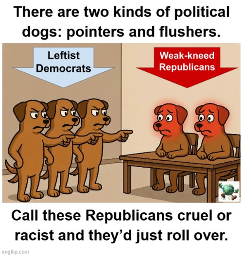 image tagged in maga,conservative,democrats | made w/ Imgflip meme maker