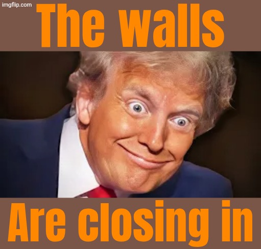 Dementia Don the con. | The walls; Are closing in | image tagged in trump | made w/ Imgflip meme maker