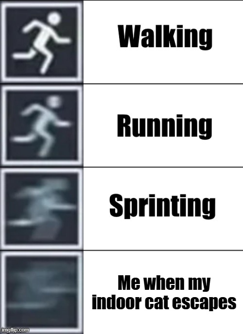 Very Fast | Me when my indoor cat escapes | image tagged in very fast | made w/ Imgflip meme maker