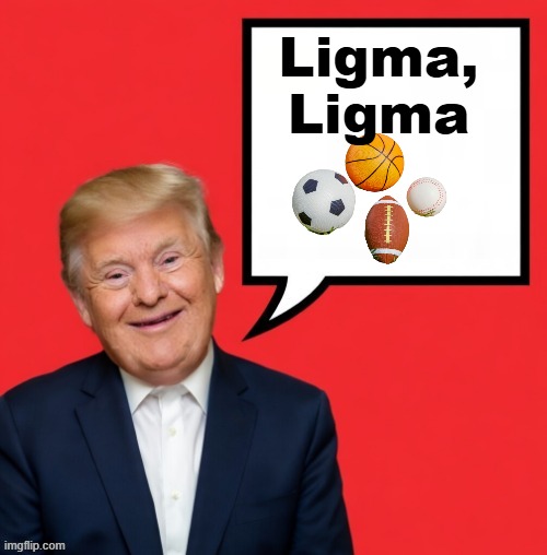 Ligma,
Ligma | made w/ Imgflip meme maker
