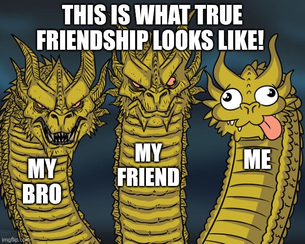 Three-headed Dragon | this is what true friendship looks like! My friend; Me; My bro | image tagged in three-headed dragon | made w/ Imgflip meme maker