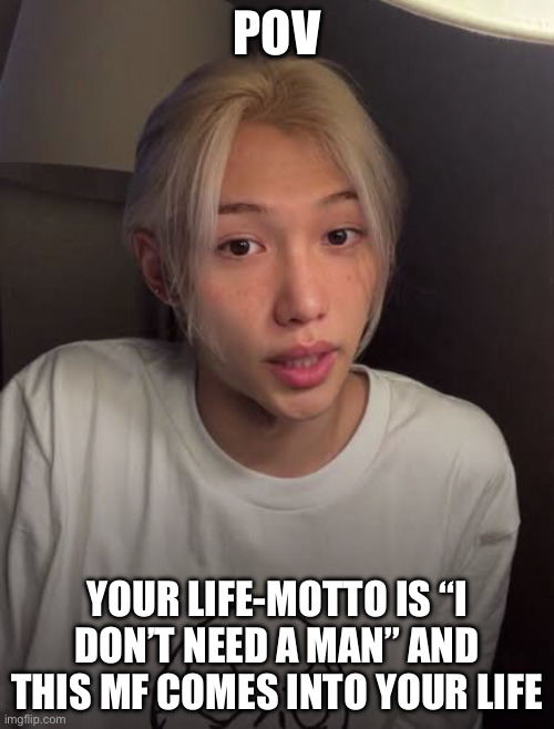 skz | POv; your life-motto is “I don’t need a man” and this mf comes into your life | image tagged in skz,remix | made w/ Imgflip meme maker