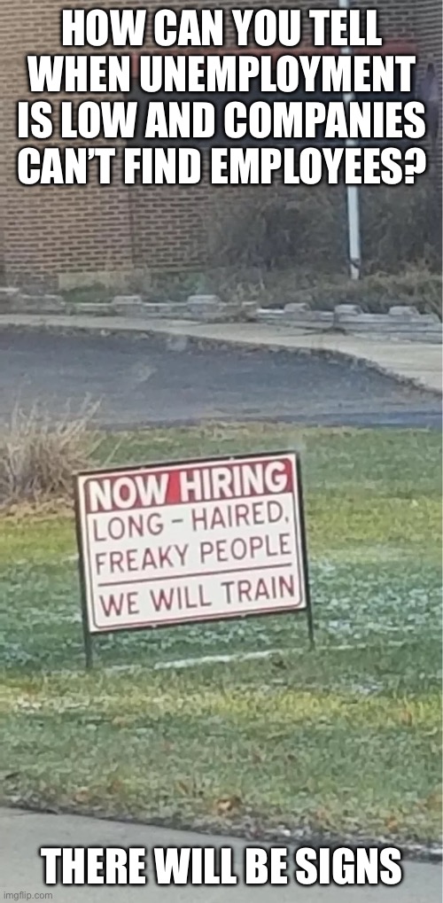 Low unemployment | How can you tell when unemployment is low and companies can’t find employees? There will be signs | image tagged in low unemployment,hiring,freaky,signs,long haired | made w/ Imgflip meme maker