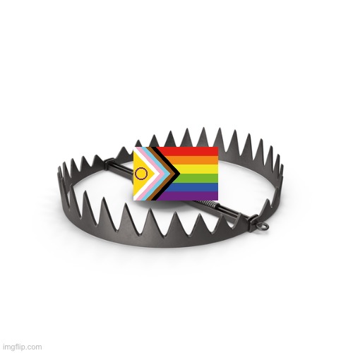 Who Would Fall For This Trap | image tagged in who would fall for this trap | made w/ Imgflip meme maker