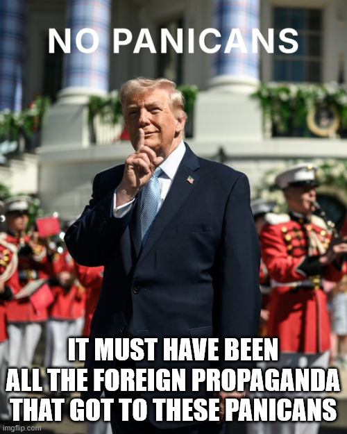 It must have been all the foreign propaganda that got to these panicans | made w/ Imgflip meme maker