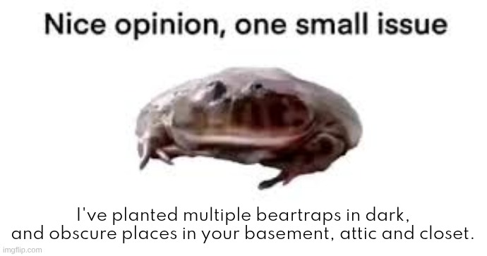 Nice opinion, one small issue | I've planted multiple beartraps in dark, and obscure places in your basement, attic and closet. | image tagged in nice opinion one small issue | made w/ Imgflip meme maker