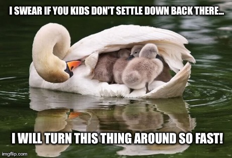 Every car trip ever. | I SWEAR IF YOU KIDS DON'T SETTLE DOWN BACK THERE... I WILL TURN THIS THING AROUND SO FAST! | image tagged in car trip swan | made w/ Imgflip meme maker