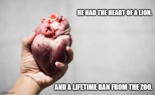 They say he had the heart of a lion. Also, he had a lifetime ban from the zoo. | He had the heart of a lion. And a lifetime ban from the zoo. | image tagged in funny,humor,lion,heart,zoo,play on words | made w/ Imgflip meme maker