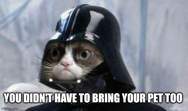 Grumpy Cat Star Wars Meme | You didn't have to bring your pet too | image tagged in memes,grumpy cat star wars,grumpy cat | made w/ Imgflip meme maker