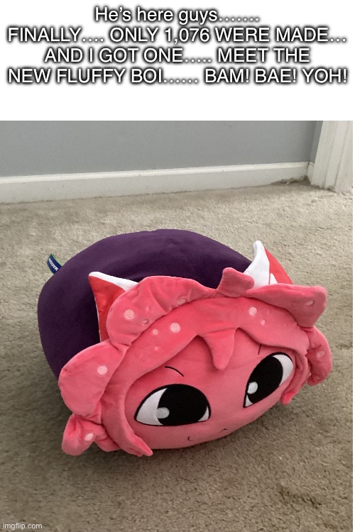 Bambaeyoh is my 2nd favorite YouTuber (1st being Smg4) | He’s here guys……. FINALLY…. ONLY 1,076 WERE MADE… AND I GOT ONE….. MEET THE NEW FLUFFY BOI…… BAM! BAE! YOH! | made w/ Imgflip meme maker