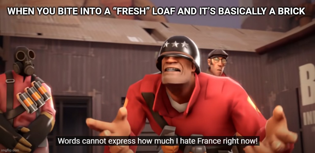 Words cannot express how much I hate France right now! | When you bite into a “fresh” loaf and it’s basically a brick | image tagged in words cannot express how much i hate france right now | made w/ Imgflip meme maker