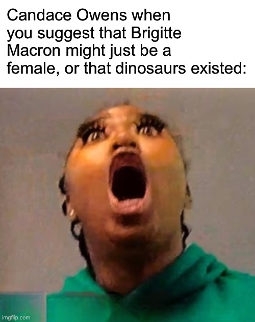 Candace Owens when you suggest that Brigitte Macron might just be a female, or that dinosaurs existed: | image tagged in black girl,france,dinosaurs,memes,conspiracy | made w/ Imgflip meme maker