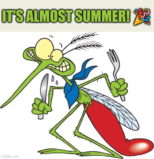 Parkhill mosquito | It's almost summer! 🎉 | image tagged in parkhill mosquito | made w/ Imgflip meme maker