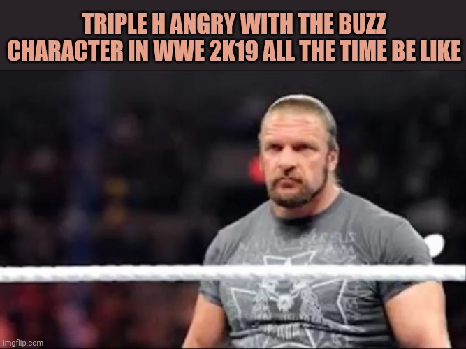 Triple H | Triple H angry with the buzz character in WWE 2k19 all the time be like | image tagged in triple h | made w/ Imgflip meme maker