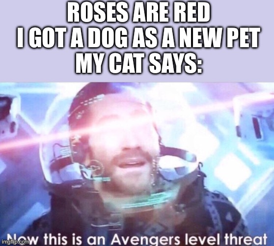 Now this is an avengers level threat | Roses are red
I got a dog as a new pet
My cat says: | image tagged in now this is an avengers level threat | made w/ Imgflip meme maker