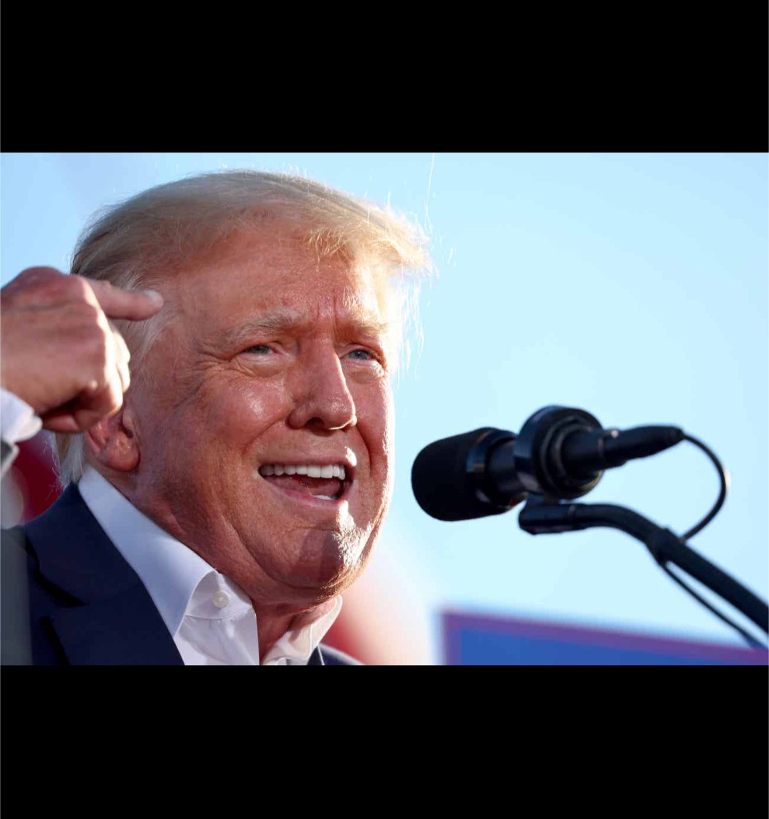 Roll Safe Trump Blank Meme Template