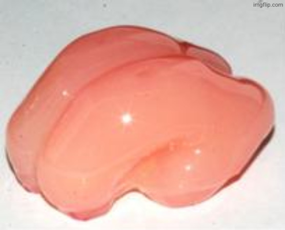 Smooth Brain | image tagged in smooth brain | made w/ Imgflip meme maker