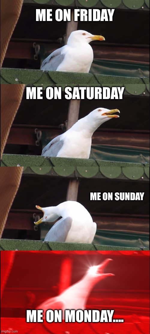 Reallife | Me on friday; Me on saturday; Me on sunday; Me on Monday…. | image tagged in memes,inhaling seagull,remix | made w/ Imgflip meme maker