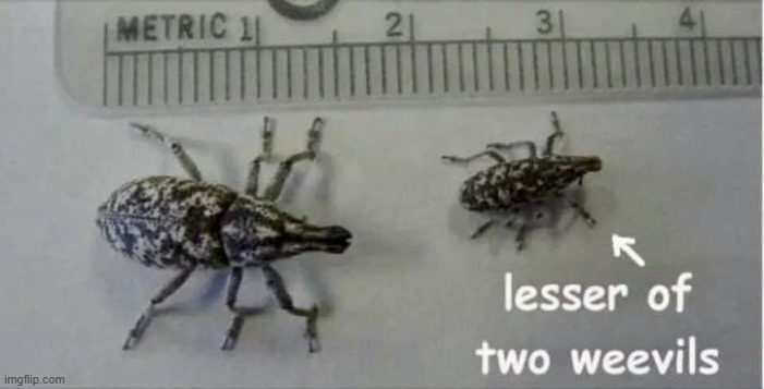 dead stream | image tagged in rmk | made w/ Imgflip meme maker