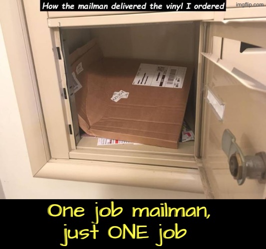 Another Common USPS Fail | One job mailman, just ONE job | image tagged in you had one job,usps,epic fail,duhhh dumbass,vinyl,do you are have stupid | made w/ Imgflip meme maker
