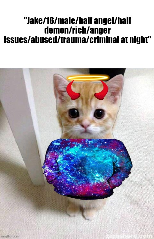 How mfs in prime Brookhaven were ? | "Jake/16/male/half angel/half demon/rich/anger issues/abused/trauma/criminal at night" | image tagged in memes,cute cat | made w/ Imgflip meme maker