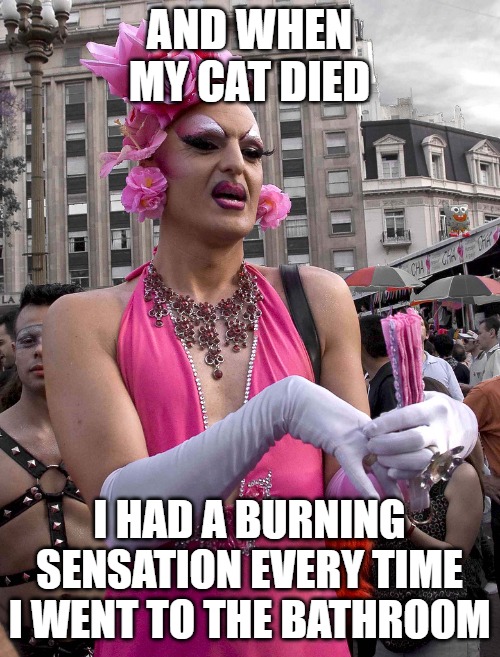tranny | And when my cat died I had a burning sensation every time I went to the bathroom | image tagged in tranny | made w/ Imgflip meme maker