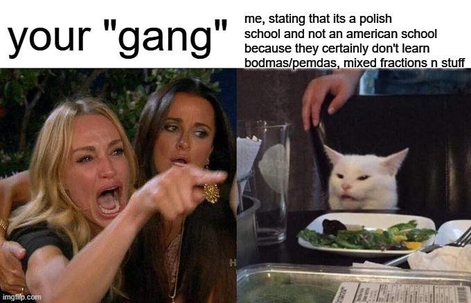 Woman Yelling At Cat Meme | your "gang" me, stating that its a polish school and not an american school because they certainly don't learn bodmas/pemdas, mixed fraction | image tagged in memes,woman yelling at cat | made w/ Imgflip meme maker