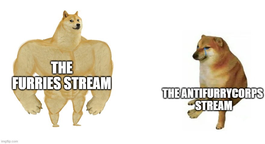 i mean the antifurrycorps stream is so depleted of followers | the furries stream; the antifurrycorps
 stream | image tagged in buff doge vs crying cheems | made w/ Imgflip meme maker