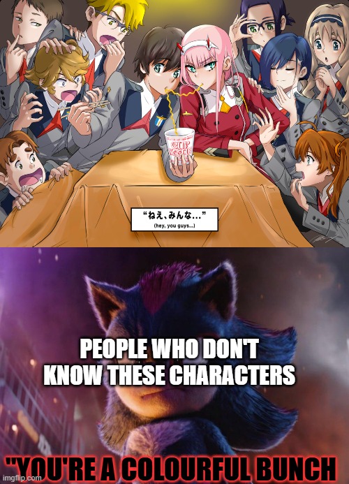 sorry for the bad meme | people who don't know these characters; "you're a colourful bunch | image tagged in you're a colorful bunch,anime,darling in the franxx,sonic movie,sonic the hedgehog,shadow the hedgehog | made w/ Imgflip meme maker