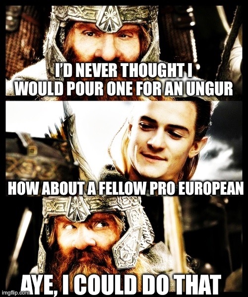 LOTR - Side by Side with a Friend | I’d never thought i would pour one for an ungur; How about a fellow pro european; Aye, i could do that | image tagged in lotr - side by side with a friend | made w/ Imgflip meme maker