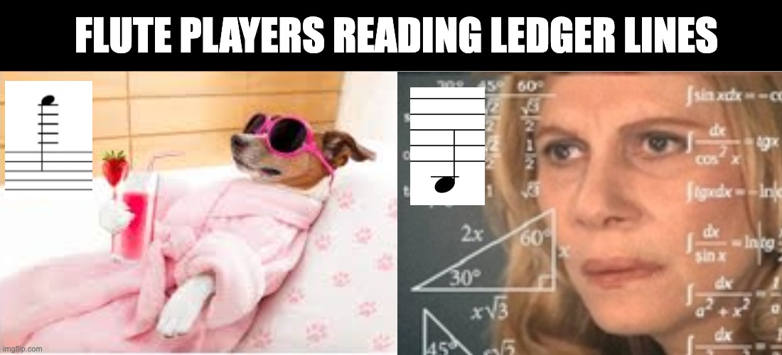 Flute Player Meme | Flute players reading ledger lines | image tagged in flute,musician,roast,cool,dog,funny | made w/ Imgflip meme maker