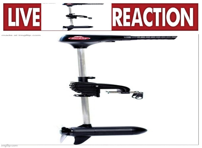 Live Trolling Motor Reaction | image tagged in we do a,little bit of,trolling motor | made w/ Imgflip meme maker
