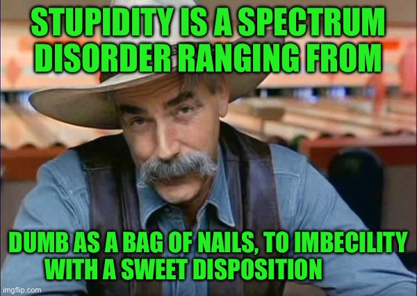Sam Elliott special kind of stupid | Stupidity is a spectrum disorder ranging from; Dumb as a bag of nails, to imbecility with a sweet disposition | image tagged in sam elliott special kind of stupid | made w/ Imgflip meme maker