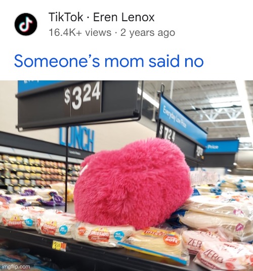 Pink squishy toy on top of the bread | image tagged in mom said no again,memes,bruh moment | made w/ Imgflip meme maker