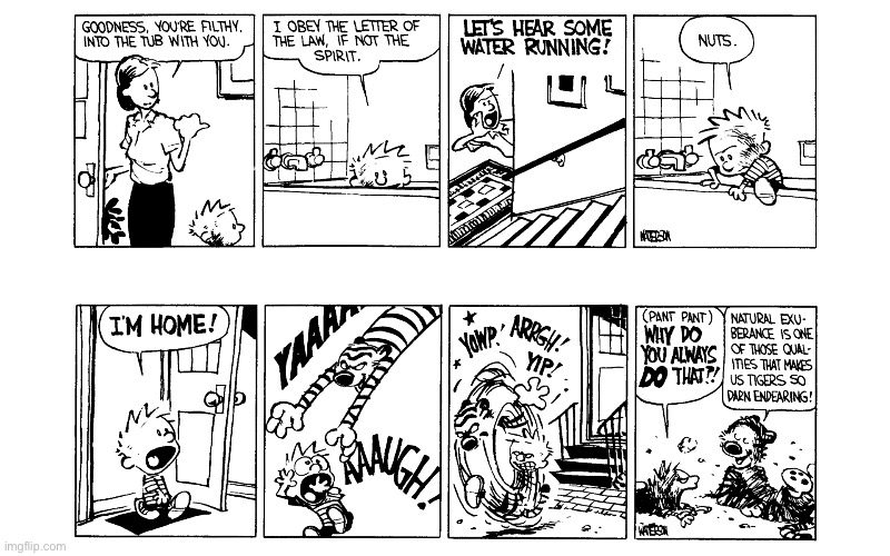 image tagged in calvin and hobbes,comics | made w/ Imgflip meme maker