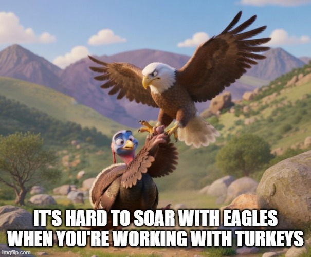 Eagles versus Turkeys | it's hard to soar with eagles when you're working with turkeys | image tagged in eagle,eagles,turkey,turkeys | made w/ Imgflip meme maker