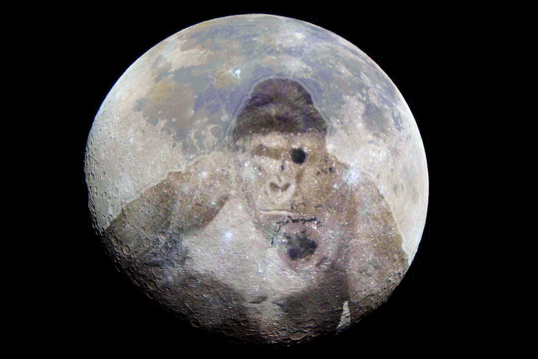 Harambe on the Moon Blank Meme Template