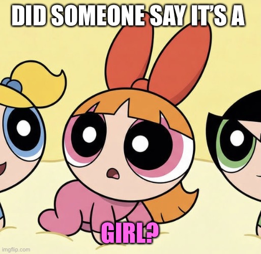 Did Someone Say It’s A Girl? | Did Someone Say It’s A; Girl? | image tagged in baby blossom | made w/ Imgflip meme maker