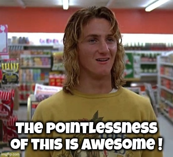 Jeff Spicoli | The pointlessness of this is awesome ! | image tagged in jeff spicoli | made w/ Imgflip meme maker