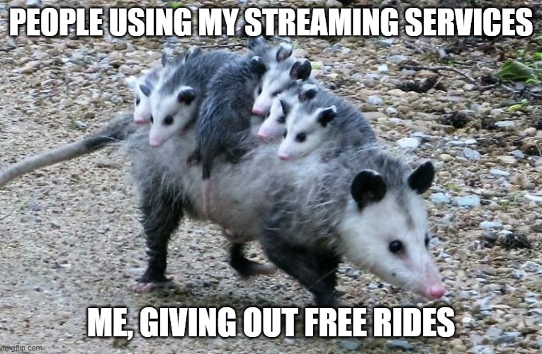 Sharing My Streaming Services | People using my streaming services; Me, giving out free rides | image tagged in possum family,streaming | made w/ Imgflip meme maker