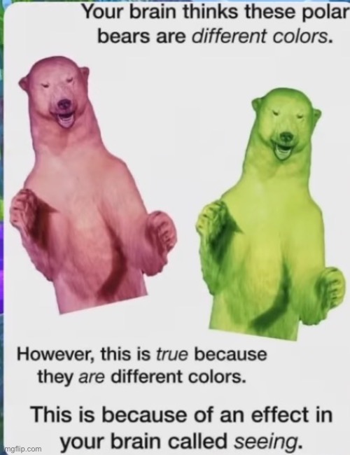 Did y’all learn anything folks | image tagged in seeing,eyes,learn | made w/ Imgflip meme maker