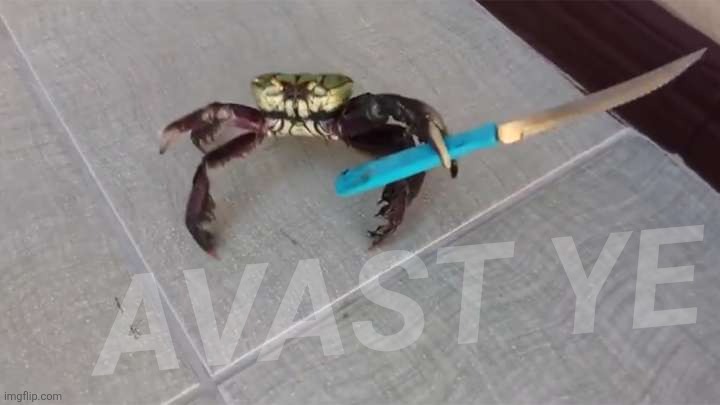 Crab knife  | Avast ye | image tagged in crab knife | made w/ Imgflip meme maker