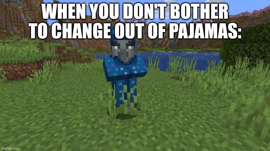 Illusioner | When you don't bother to change out of pajamas: | image tagged in illusioner | made w/ Imgflip meme maker