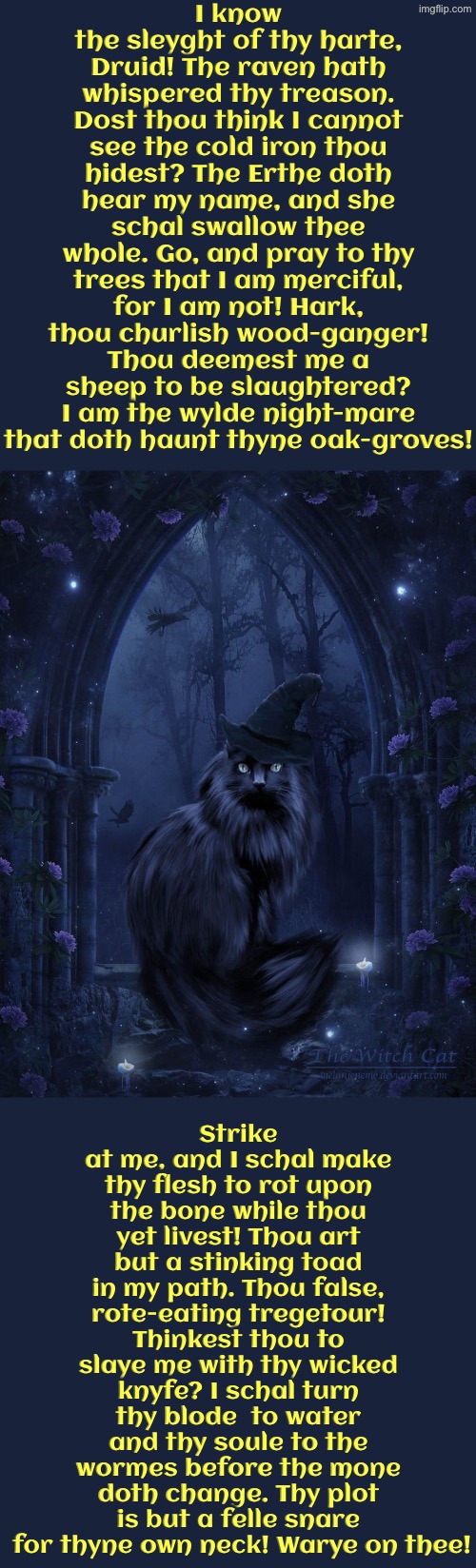 Hark, Thou Churlish Wood-Ganger | I know the sleyght of thy harte, Druid! The raven hath whispered thy treason. Dost thou think I cannot see the cold iron thou hidest? The Erthe doth hear my name, and she schal swallow thee whole. Go, and pray to thy trees that I am merciful, for I am not! Hark, thou churlish wood-ganger! Thou deemest me a sheep to be slaughtered? I am the wylde night-mare that doth haunt thyne oak-groves! Strike at me, and I schal make thy flesh to rot upon the bone while thou yet livest! Thou art but a stinking toad in my path. Thou false, rote-eating tregetour! Thinkest thou to slaye me with thy wicked knyfe? I schal turn thy blode  to water and thy soule to the wormes before the mone doth change. Thy plot is but a felle snare  for thyne own neck! Warye on thee! | image tagged in cats,medieval memes,archaic insults,witches,druids,kill you cat | made w/ Imgflip meme maker