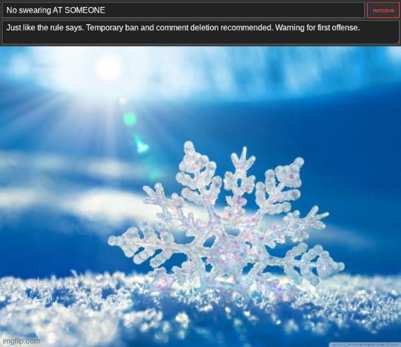 saw this before I unbanned gebrix and removed my mod. these guys are so sensitive. | image tagged in snowflake | made w/ Imgflip meme maker
