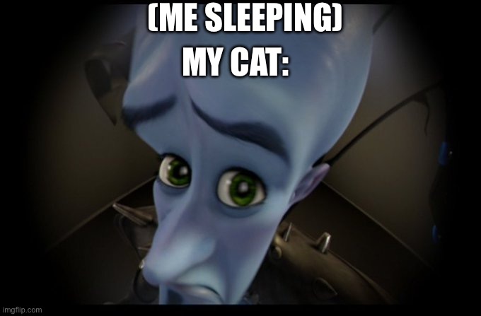 Megamind Peeking | (Me sleeping); My cat: | image tagged in megamind peeking,cats,sleep | made w/ Imgflip meme maker