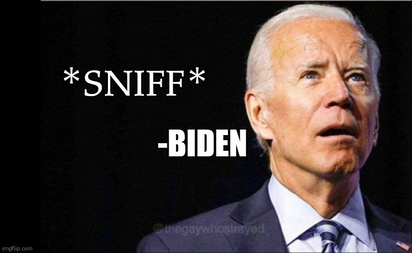 he do be sniffing | *sniff*; -Biden | image tagged in joe biden | made w/ Imgflip meme maker