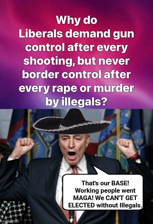 So that's why | That's our BASE! Working people went MAGA! We CAN'T GET ELECTED without Illegals. | image tagged in angry chuck schumer yelling,gun control | made w/ Imgflip meme maker